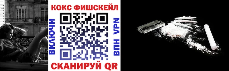 КОКАИН Fish Scale  Купить где  Зеленогорск 