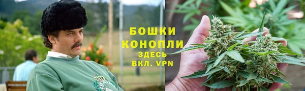 стаф Арсеньев