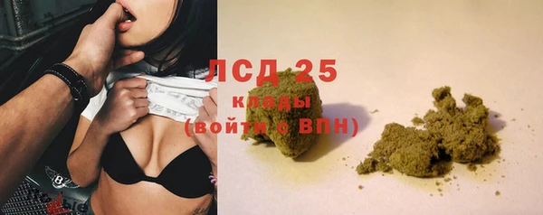 стаф Арсеньев