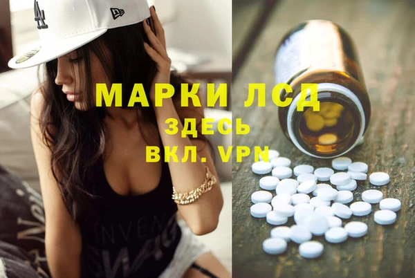 стаф Арсеньев