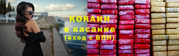 стаф Арсеньев
