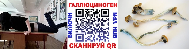 Купить где Зеленогорск Галлюциногенные грибы мицелий